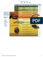 Guía Didáctica de Fósiles de Sureste PDF