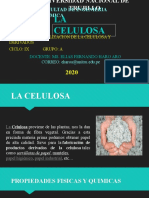 LA CELULOSA-SEMANA1-UNT-HARO-tareas