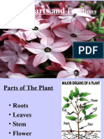 Plant Parts