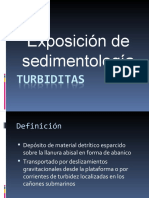 Exposicion de Sedimentología