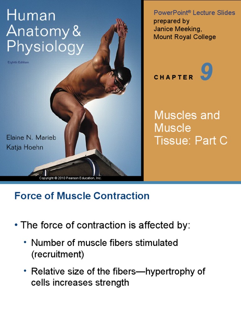 Muscles and Muscle Tissue: Part C: Prepared by Janice Meeking, Mount ...