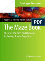 The Maze Book 2015 PDF