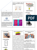 Plegable Derechos Humanos PDF