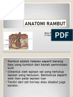 Anatomi Rambut.