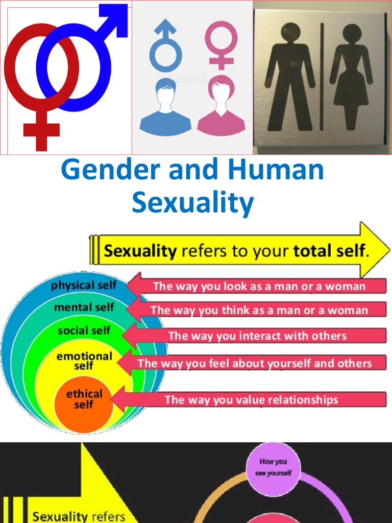 Understanding Gender and Human Sexuality | PDF | Gender | Gender Studies