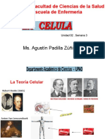 La Celula Enfermeria