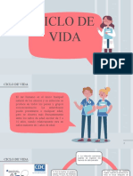 Ciclo de Vida