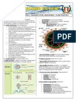 Los virus: definición, características y ciclos de replicación