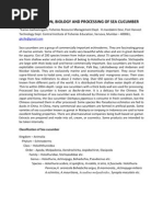 Download Sea Cucumber by Redeemmson Shooting SN46877527 doc pdf