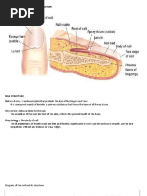 EnL Nail Bar - Nail Salon in Newington CT 06111 visual data 7
