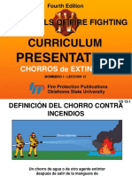 B1-13ChorrosExtincion.pdf