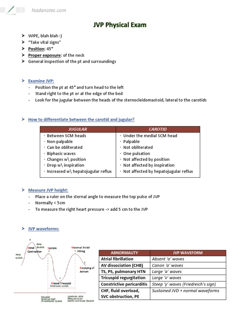 JVP Examination Techniques and Findings | PDF