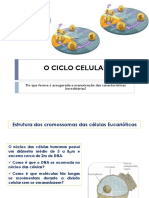 CICLO-CELULAR_b7b7b282b59c83bc8c771d78c022c5ab.pdf