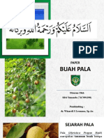 Buah Pala