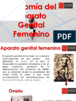 CLASE 1 Anatomi A Genital Femenina
