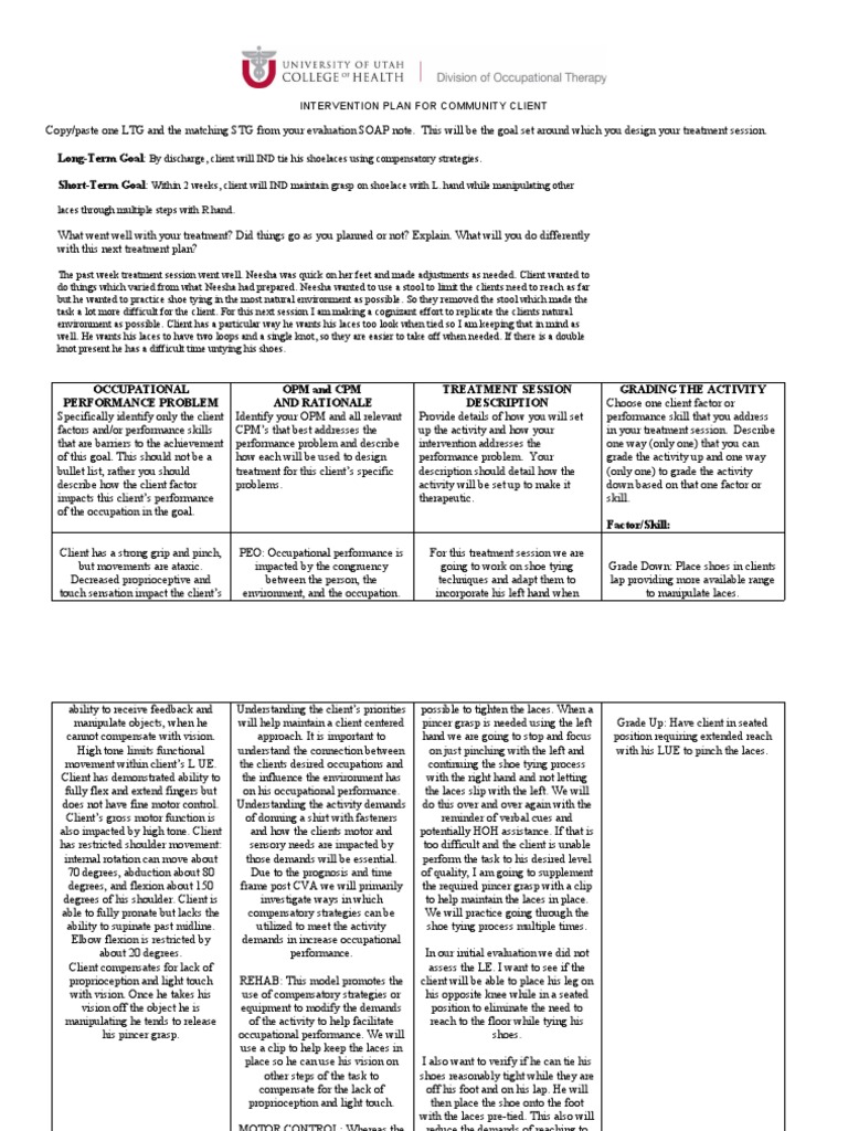 LongTerm Goal ShortTerm Goal Intervention Plan For Community