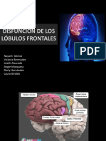 Disf. Lóbulos Frontales Victoria Bermudez