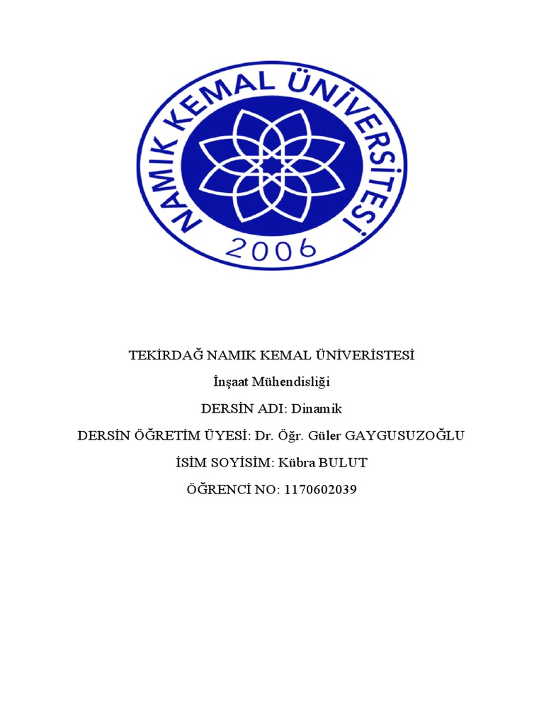 Dinamik Vize Odevi Pdf