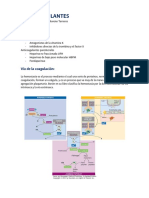 Antiagregantes - Anticoagulantes Ii