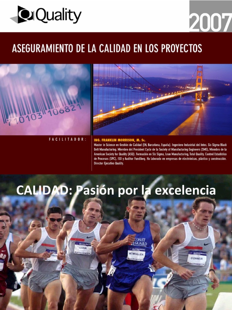 Aseguramiento de La Calidad en Los Proyectos 2007 | PDF | Calidad ...