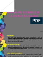 Formas de Reproducir La Escritura Matriz