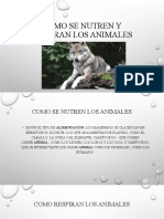 Como Se Nutren y Respiran Los Animales Vale