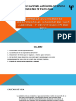 Impactos PDF