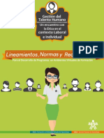LINEAMIENTOS, NORMAS Y REQUERIMIENTOS.pdf