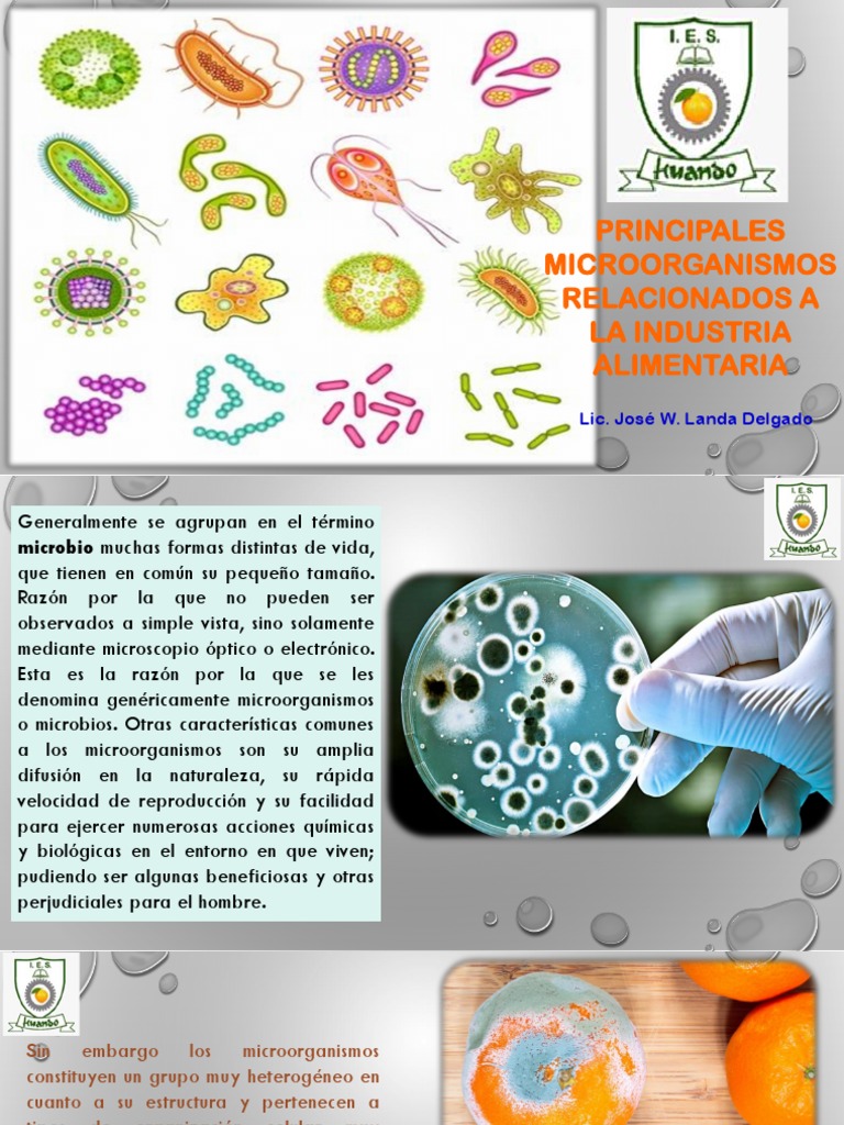 Principales Microorganismos Relacionadas A Los Alimentos | PDF | Las ...