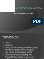 2.pengkajian Keperawatan Sistem Perkemihan