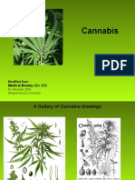 Basic Bio Cannabis 2009a