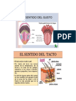 Trabajo Isa Ramirez PDF