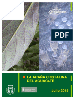 Araña de Cristal Información Técnica