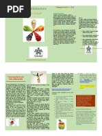 Folleto Sensibilización para La Alimentación Saludable