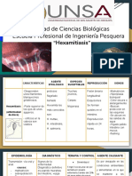 Exposicion Hexamitiasis