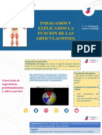 2_PRI_CIENCIA Y TECNOLOGÍA_07_FUNCIONES DE LAS ARTICULACIONES_IIBIM