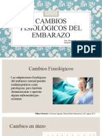 Cambios Fisiológicos Del Embarazo