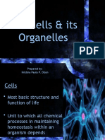 The Cell and Its Organelles