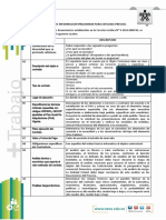 9 Formato de Informacion Preliminar