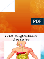 Digestive System