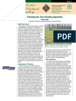 Planning The Tree Planting Operation: Why Plant Trees?