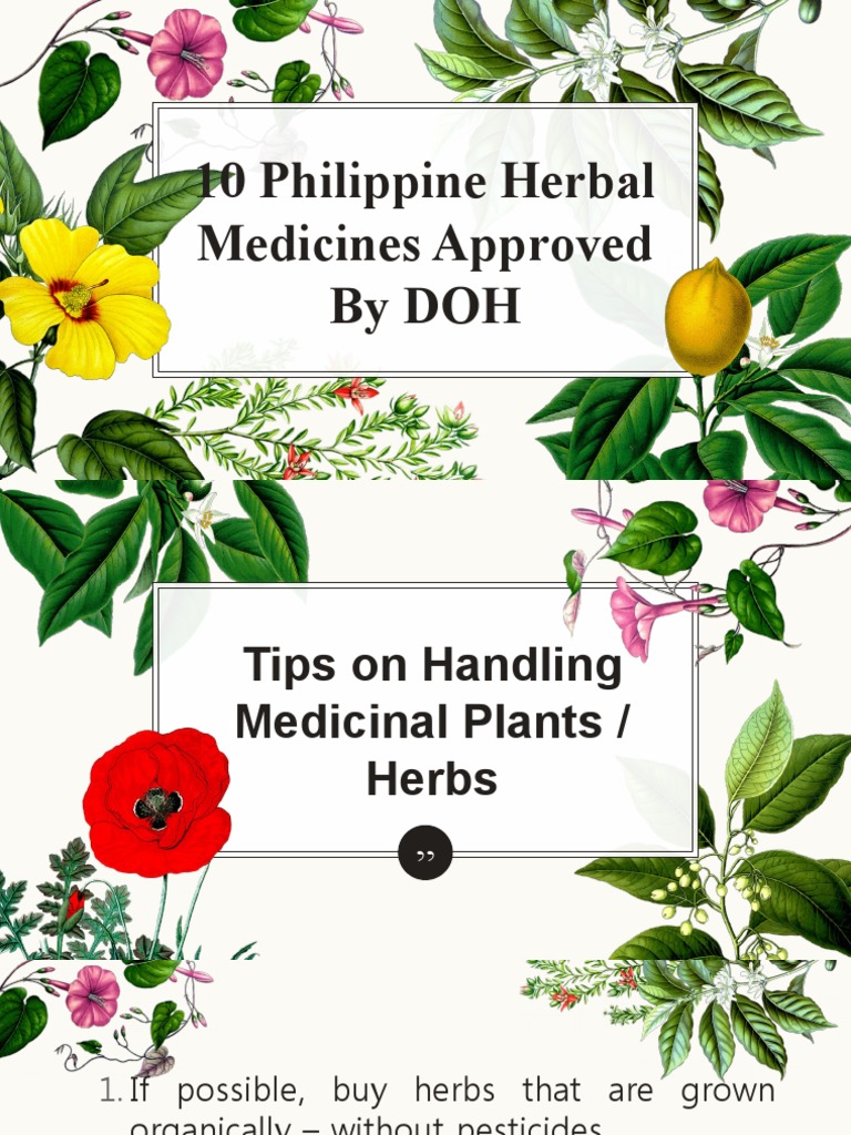 10 Philippine Herbal Medicines Approved by Doh PDF Color Blue