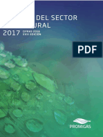 Informe del Sector Gas Natural Colombia 2017.pdf