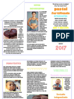 BROWNIE-FORTIFICADO (1).pdf OFICIAL