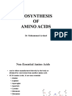 Biosynthesis of Amnio Acid