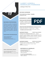 CV - Larry Lowell Paredes Bardales PDF