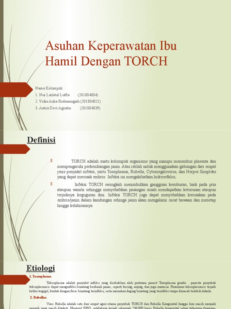 Asuhan Keperawatan Ibu Hamil TORCH | PDF | Sains & Matematika