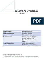 Biokimia Sistem Urinarius