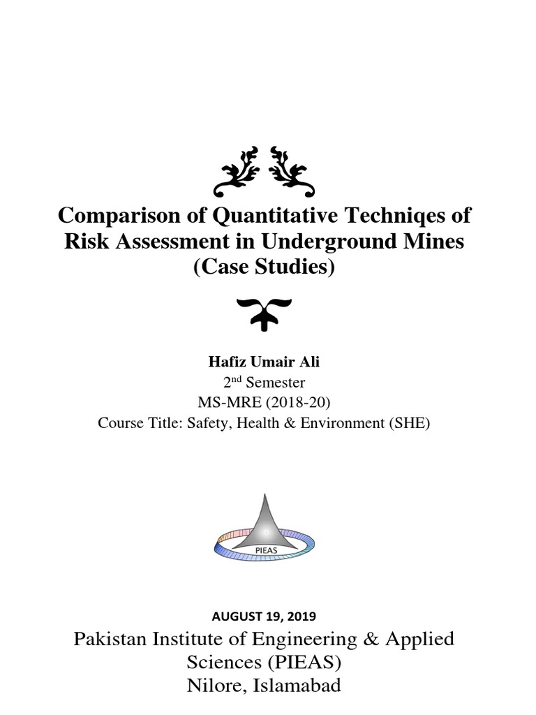 Risk Assessment Techniques in Mining | PDF | Risk Assessment | Risk