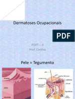 PDPT 4 - Dermatoses Ocupacionais